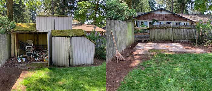 Before and After Old Shed Tear Down and Removal by Mike & Dad’s Hauling in Portland OR 