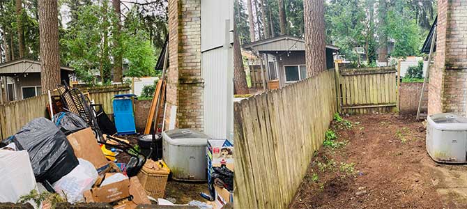 Before and after of yard cleanup. Mike & Dad's Hauling provides Yard Debris Removal & Property Clean Up in Portland OR
