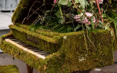 piano with moss and plants growing out of it